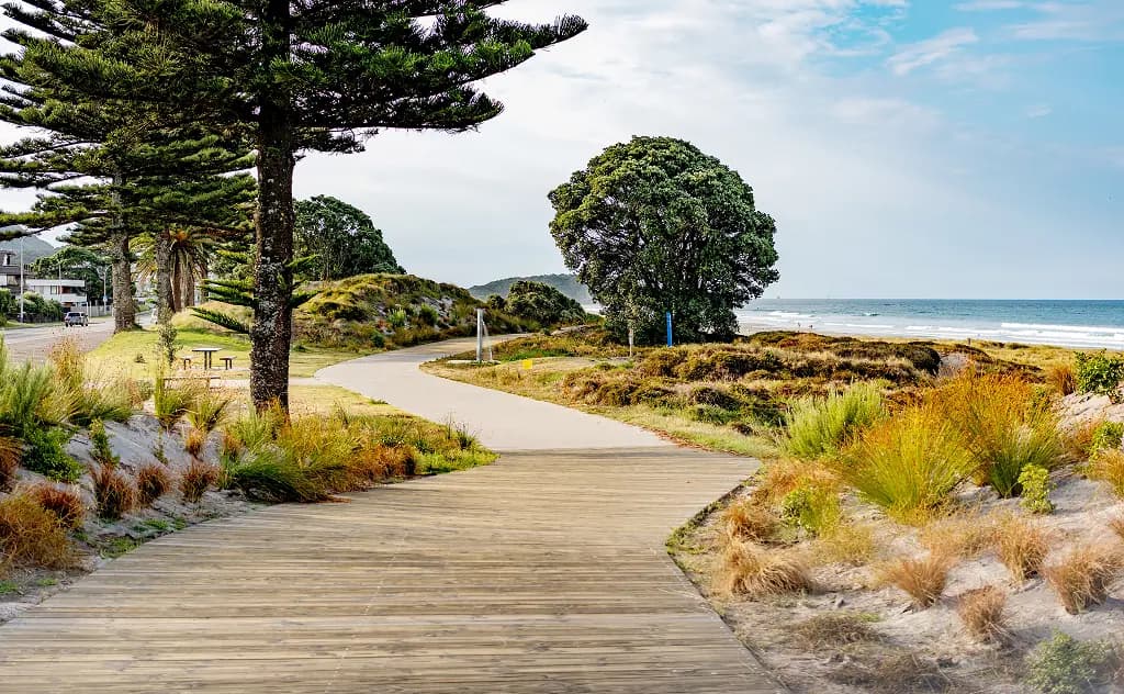 Golf courses in Bay of Plenty