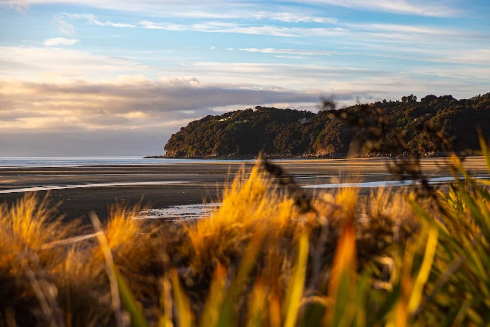 Golf courses in Tasman